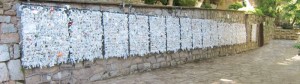 IMG_5789_r1_smlr